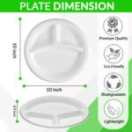 10inch-compartment-plate