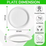 10inch round plate_1