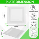 7inch square plate-1