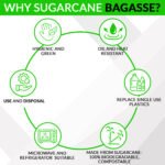 Why Sugarcane Bagasse